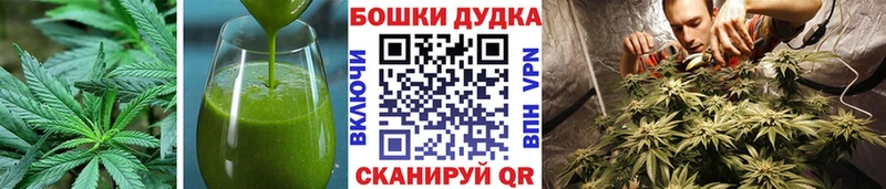 blacksprut зеркало  Магас  Печенье с ТГК марихуана 