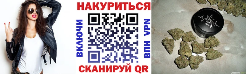 закладки  Магас  Бошки марихуана тримм 